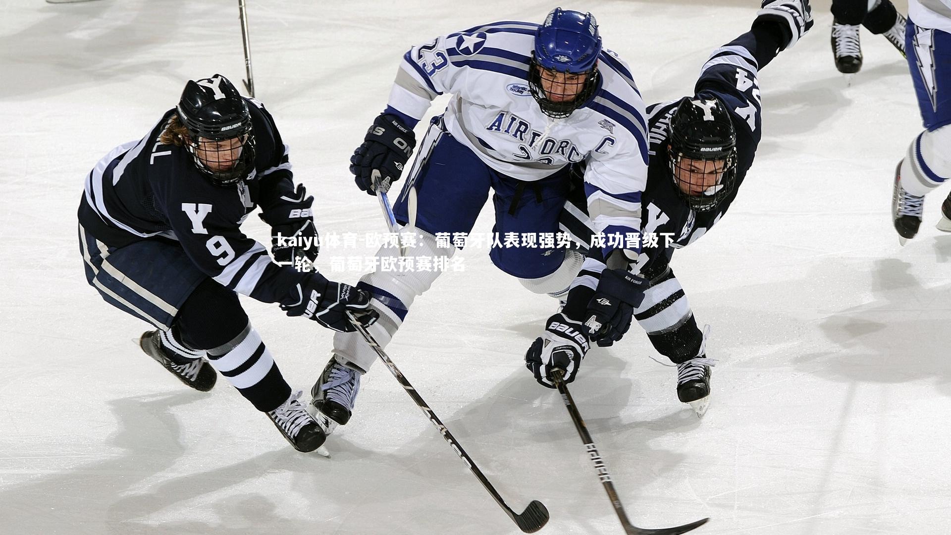 kaiyu体育-欧预赛:葡萄牙队表现强势,成功晋级下一轮,葡萄牙欧预赛排名