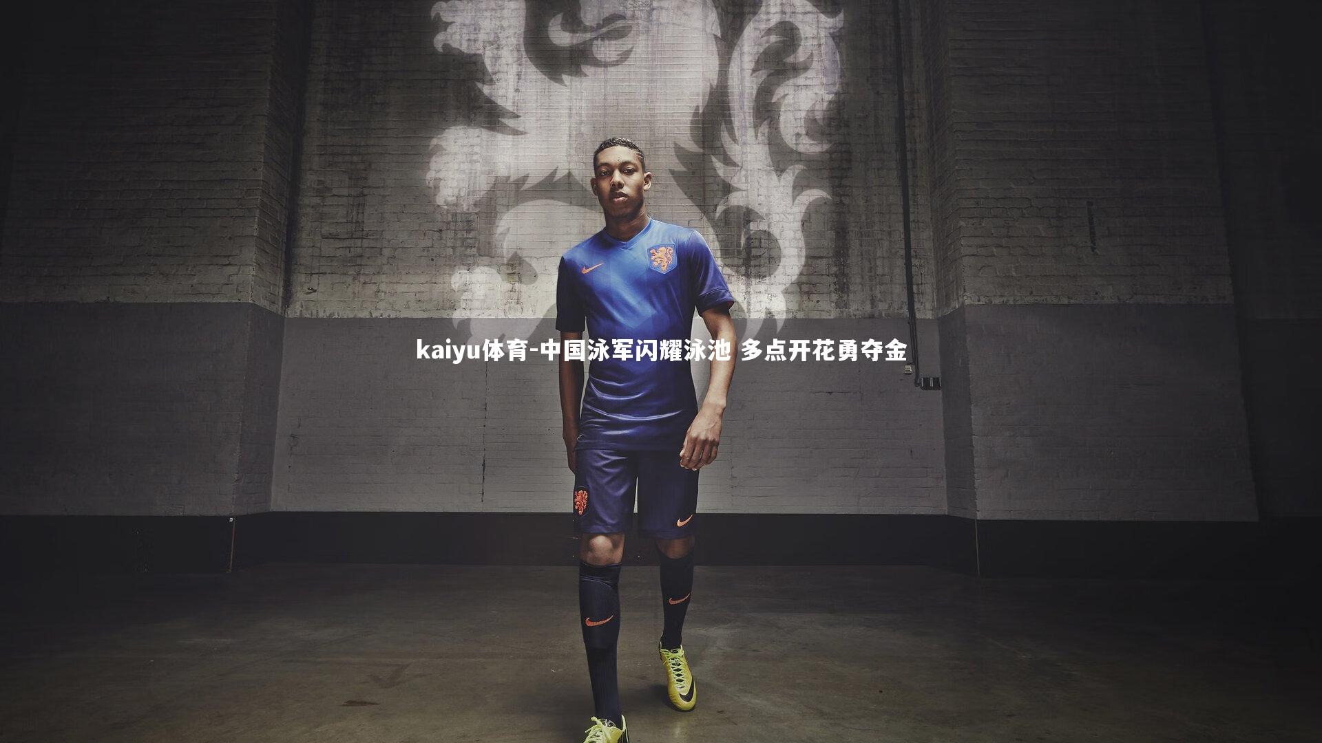 中国泳军闪耀泳池 多点开花勇夺金