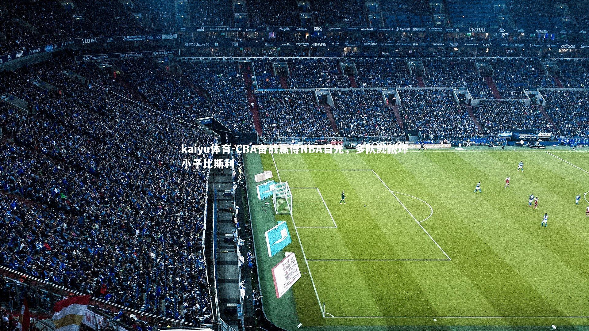 CBA奋战赢得NBA目光，多队觊觎坏小子比斯利